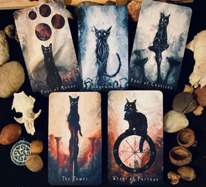 Haunted Cat Tarot Deck Only