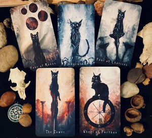 Haunted Cat Tarot Deck and Book-UNITED STATES DOMESTIC ONLY